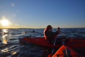 Kayak