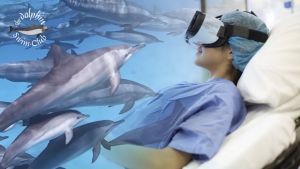 Virtual Reality therapy with wild dolphins