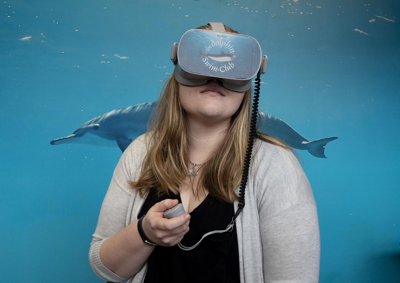 Virtual dolphins help students relax before exams