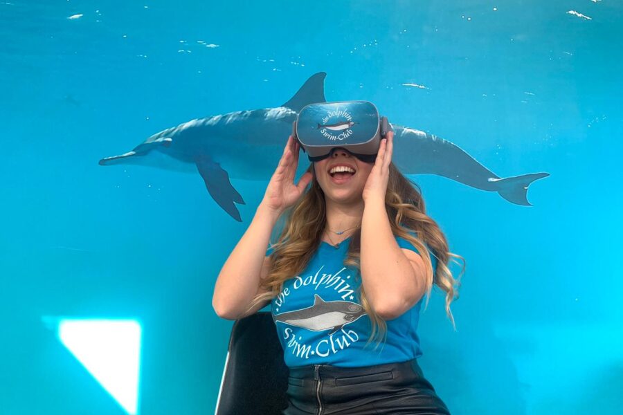 Dolphin VR Bibi