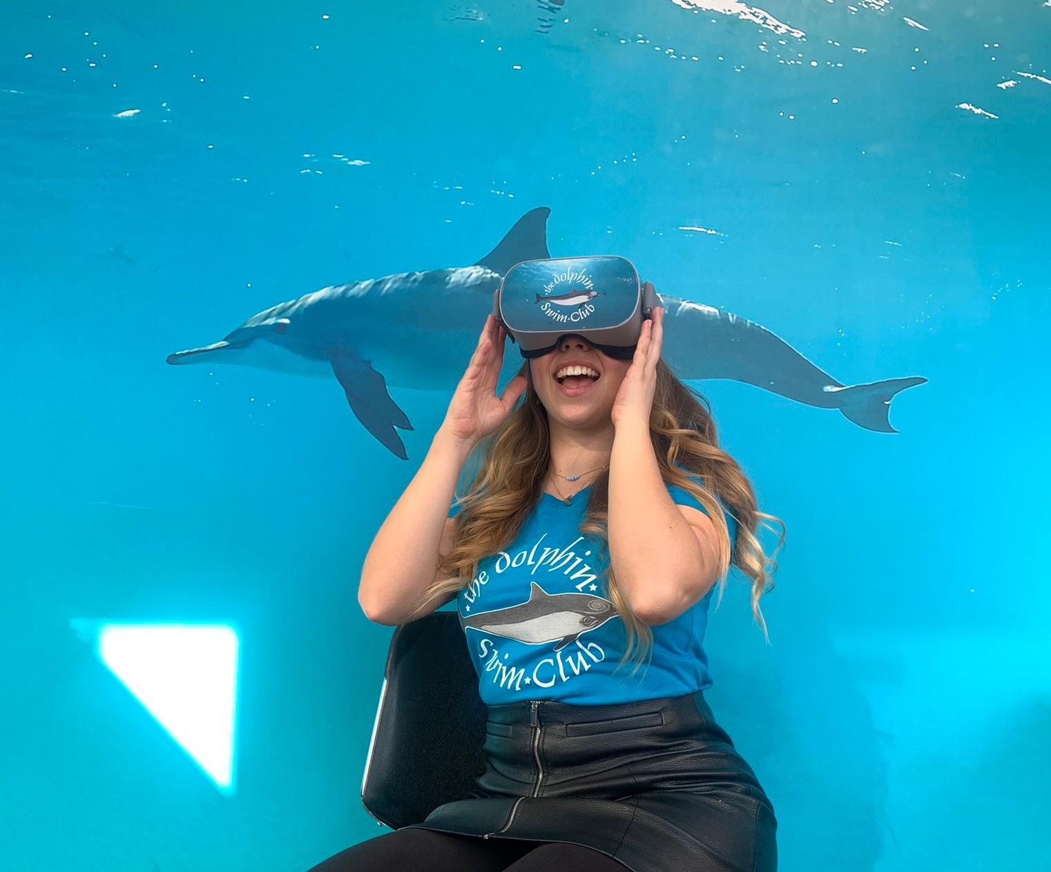 Dolphin VR Bibi