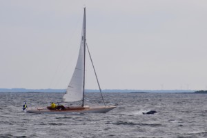 A sailboat in the baltic sea
